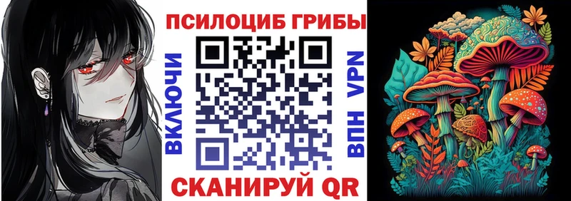 даркнет состав Аксай Псилоцибиновые грибы Magic Shrooms